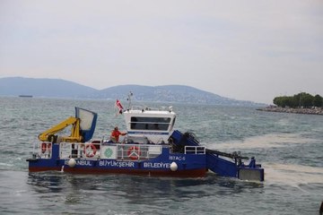 Kartal sahilleri deniz salyasından temizleniyor