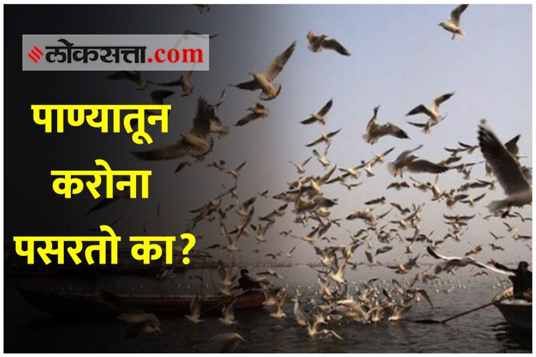 पाण्यातील मृतदेहांमधून करोनाचा प्रसार होतो का?