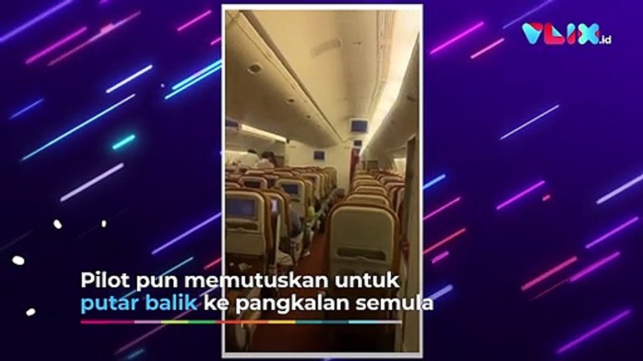 Kelelawar Terbang di Kabin, Pesawat Ini Putar Balik