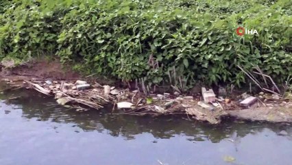 Kahramanmaraş'ta çaylar 'siyah' akıyor