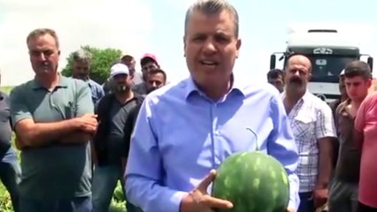 AKP'li çiftçi Cumhurbaşkanı Erdoğan ve Bakan Pakdemirli'ye isyan etti: Yaktınız bizi, mahvettiniz!