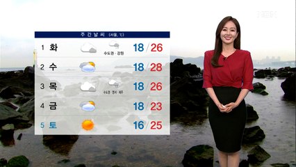 휴일 한낮 더위…밤부터 서해안 중심 강한 비