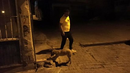 Ekmeğini yoldan geçen köpekle paylaştı, 'insanlık ölmemiş' dedirtti