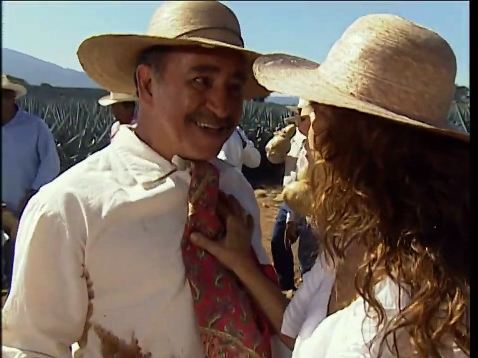 Destilando amor Capítulo 02 Dublado