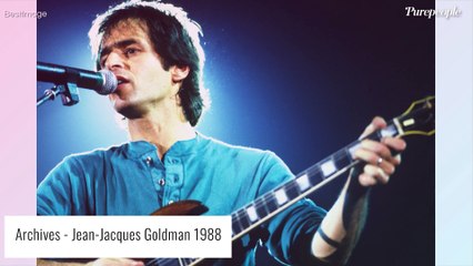Jean-Jacques Goldman : Révolté, il dénonce un nouvel amendement contre la culture
