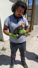 Konteynerde sıkışan yavru kedi itfaiye ekipleri tarafından kurtarıldı