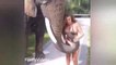 Funny Animals Videos _ Funny Girl Video  2021_ Funny girl Fails _ funny zoo Animals ( 720 X 1280 )