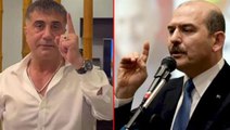 Bakan Soylu'nun kurucusu olduğu şirketten Sedat Peker'in ihale iddiasına yanıt: THY ile hiçbir ticari bağ yok