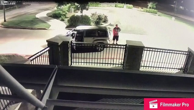 Ils balancent leur chien par-dessus la barrière pour s'en débarrasser