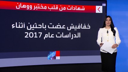 خفافيش عضت باحثين.. ما علاقة ذلك بتصنيع كورونا؟