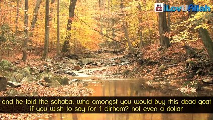 The Real Value Of The Dunya  Must Watch  || Powerful Reminder ||