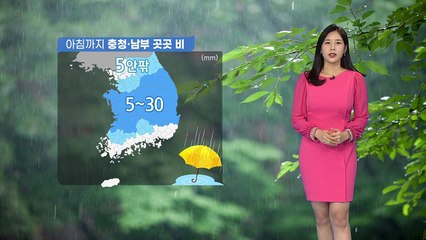 [날씨] 아침까지 충청·남부 곳곳 비...낮 동안 흐림 / YTN