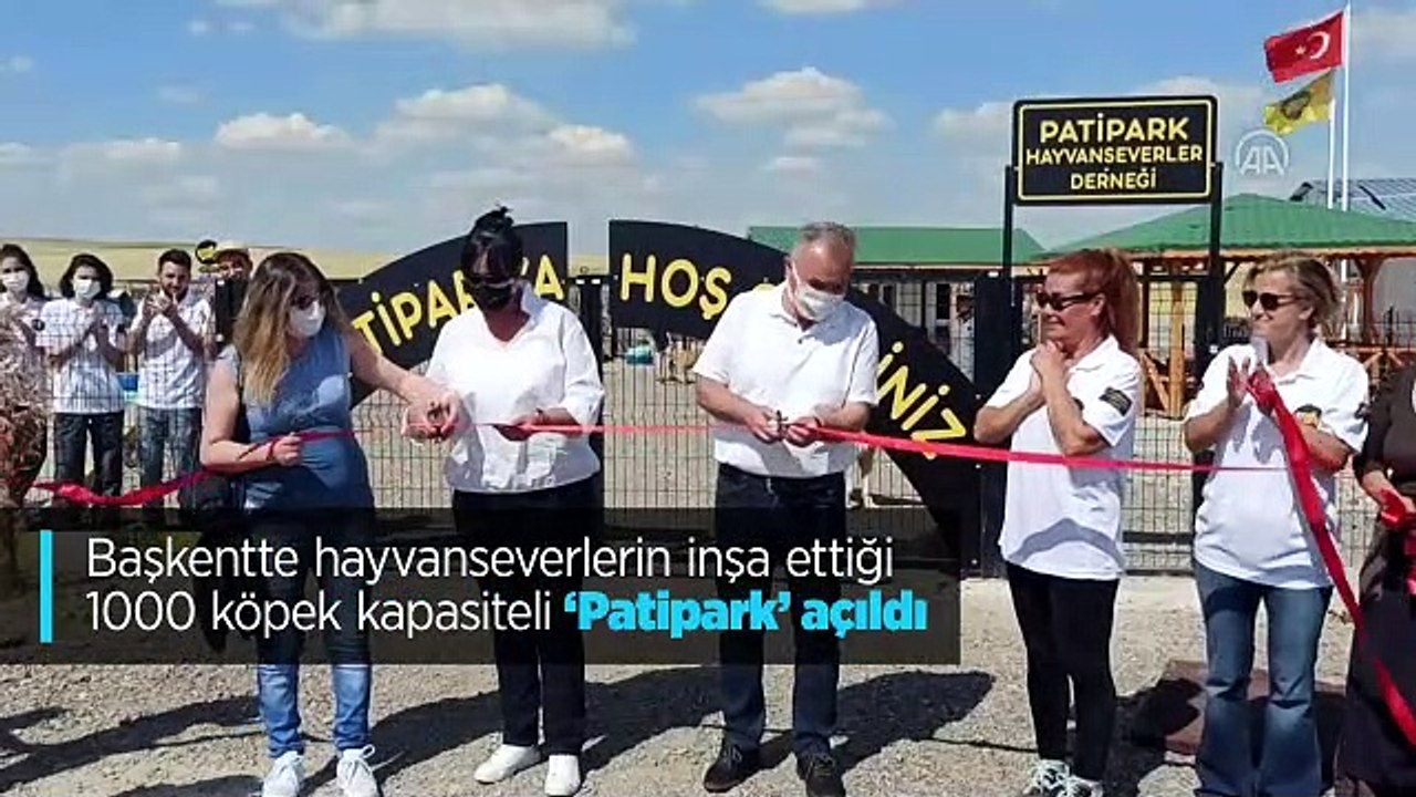 Ankaralı hayırseverler köpekler için barınak inşa etti