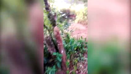 "Como se não bastasse a falta de água, o pouco que tem tá poluído", diz moradora sobre esgoto despejado em córrego no Bairro Guarujá