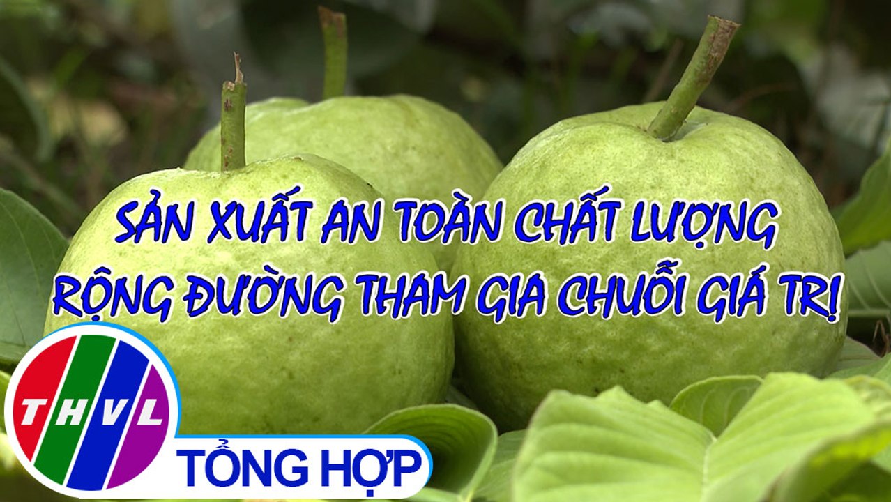 Nông nghiệp bền vững: Sản xuất an toàn chất lượng rộng đường tham gia chuỗi giá trị