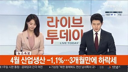 [속보] 4월 산업생산 -1.1%…3개월만에 하락세