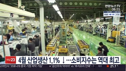 4월 산업생산 1.1% ↓…소비지수는 역대 최고