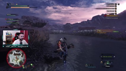 One shot ( Monster Hunter World )