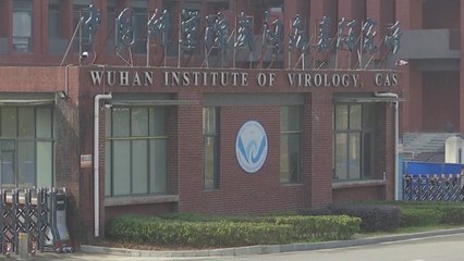 前 백악관 고위인사 "中 연구소 기원 파악 가능"...타이완 코로나 사망자 급증 / YTN