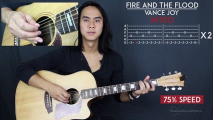 Fire and the Flood Vance Joy Guitar Lesson Tutorial Acoustic