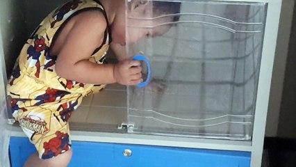 Xander