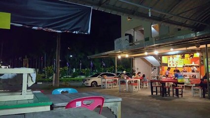 Aphasia Primised Land