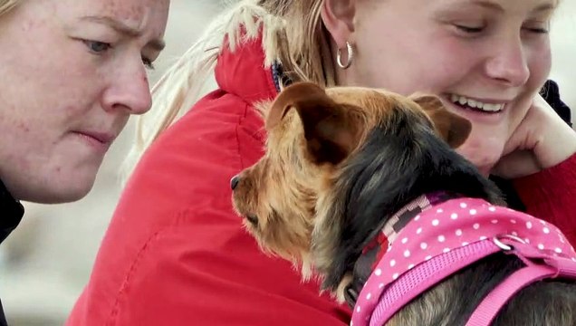 Der entlegenste Pub Großbritanniens steht zum Verkauf