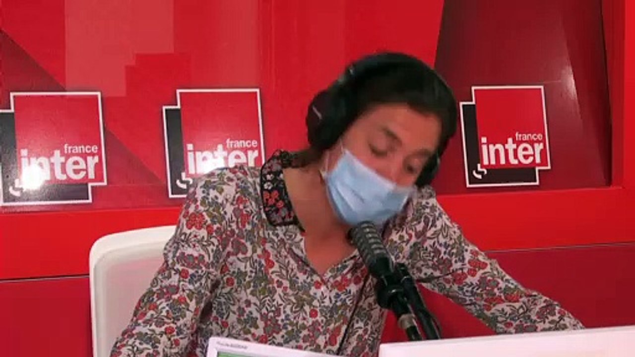 "Immersion dans une méga fourrière" : coup de p...
