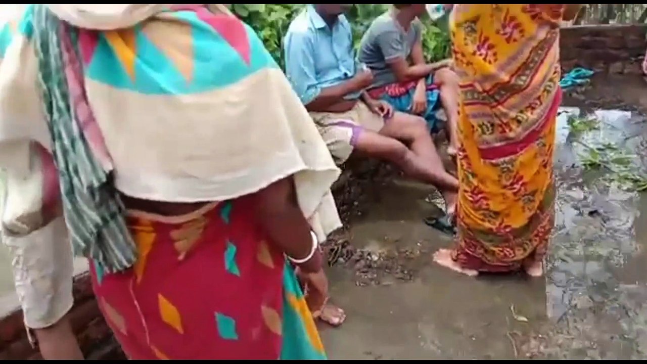 Sundarbans  yas