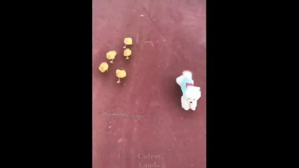 Cuteness overload with pets