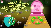 What If All Mosquitoes Disappear? | World Without MOSQUITOES | The Dr Binocs Show | Peekaboo Kidz