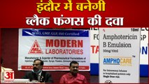 Indore Based Modern Laboratories को मिली Black Fungus की दवा बनाने की अनुमति |  Amphotericin B Price