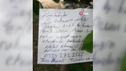 Erik ağacının dalına not bıraktı, "Borcum var ise iban atın"