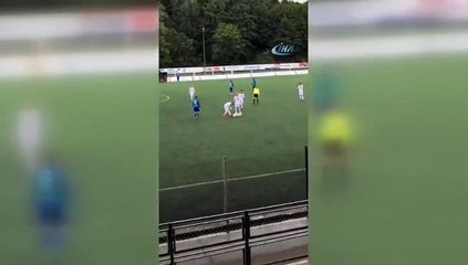 Sahaya giren köpek maçı durdurdu