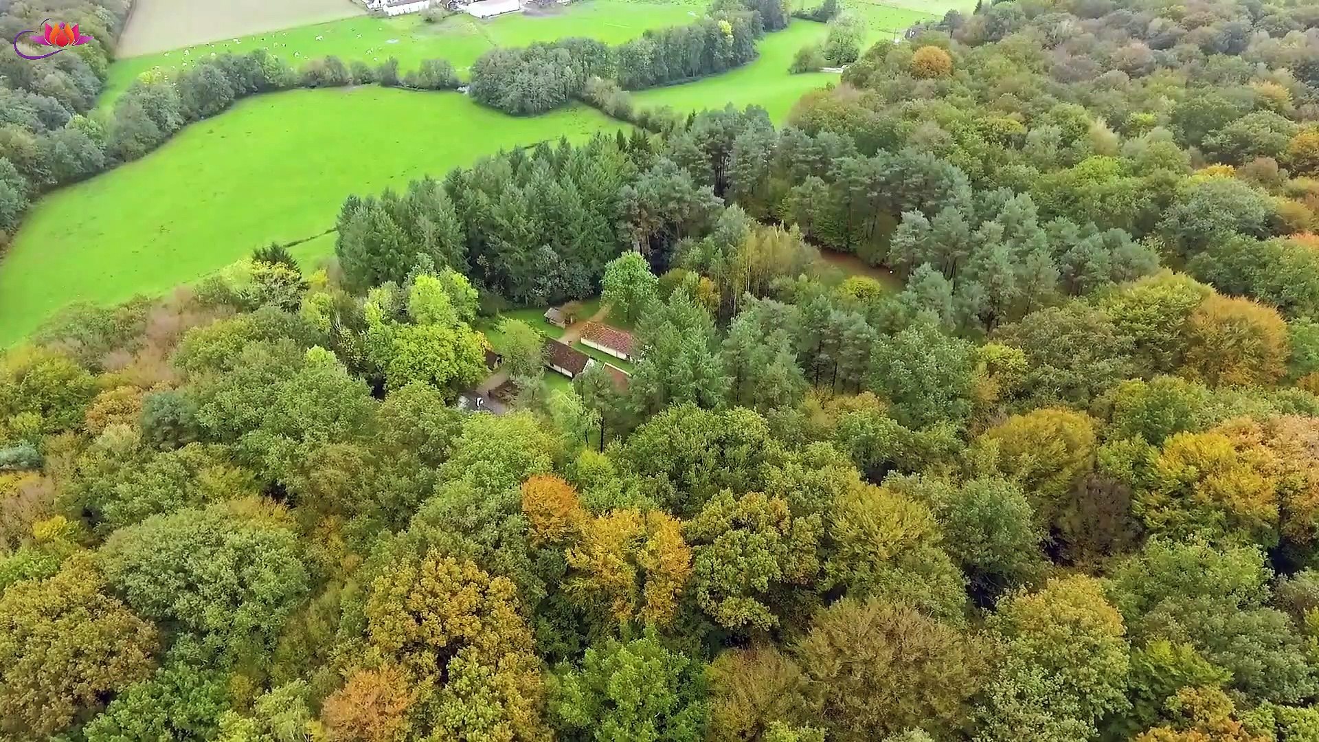 Meditation Music || Himalaya Music || Music for Relaxation and Meditation || Music for sleep