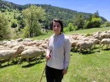 Koyunlarını otlatarak Avrupa Şampiyonası'na hazırlanıyor
