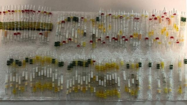 Sarp Sınır Kapısı'nda, 230 tüp kobra ve arı zehri ele geçirildi! Piyasa değeri tam 3 milyon 350 bin lira