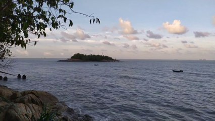 MALAYSIA BATU PAHAT NEW FOREST RARK WALKWAYS THAT CONNECTED THE 2 PLACES- MINYAK BEKU and SEGENTING