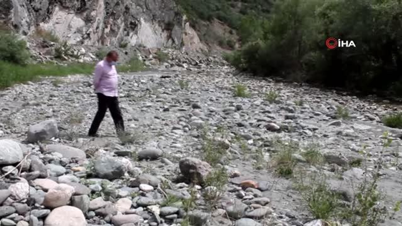 Tosya pirinci susuzluk tehlikesi ile karşı karşıya