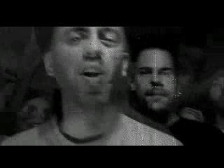 Mtl nightlife bonito cavaliers noirs