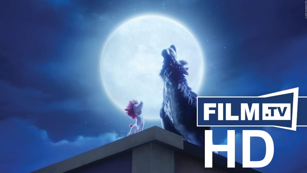 100% Wolf Trailer Deutsch German (2021)