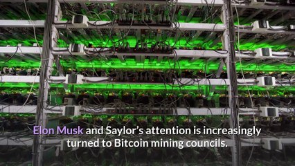 Crypto News - No Reason To Panic Over Dogecoin Prices - Bitcoin News