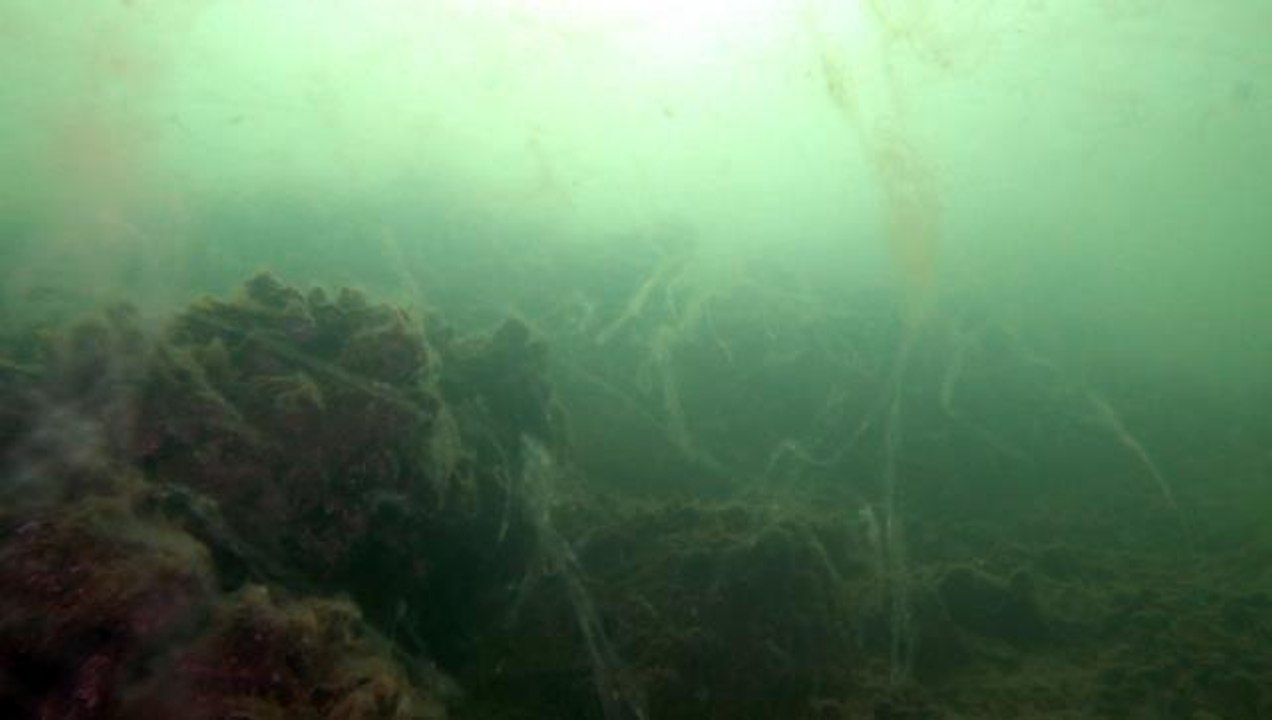 Marmara Denizi'nden gelen kötü haberlerin arkası kesilmiyor