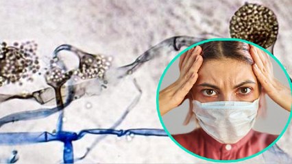 Black Fungus के बाद अब Green और Pink Fungus का खतरा ! | Boldsky