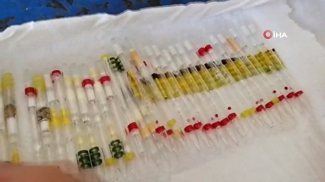 Sarp Sınır Kapısı'nda piyasa değeri 3 milyon lira olan toplam 230 tüp arı ve kobra yılanı zehri ele geçirildi