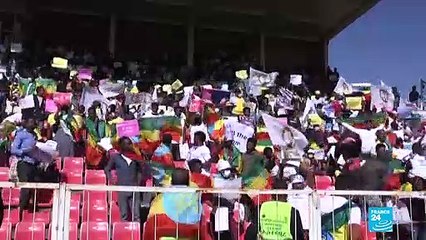 Ethiopians protest US sanctions over brutal Tigray war