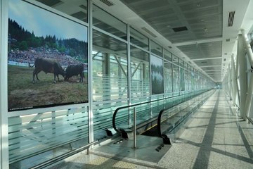 Sarp Sınır Kapısı'nın 1 Haziran'da turist geçişlerine açılacak olması bölge esnafını heyecanlandırdı