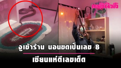 ผวา! งูเข้าร้านขายต้นไม้ นอนขดเป็นเลข 8 เซียนแห่ตีเลขเด็ด | Dailynews