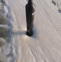 Marmara Denizi'nden ürküten görüntü! Kırmızı mercan yatakları da ölmeye başladı