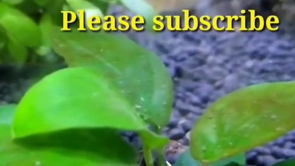 Seetha kalayanam part-2 | Malayalam Kambikatha Serial Review
